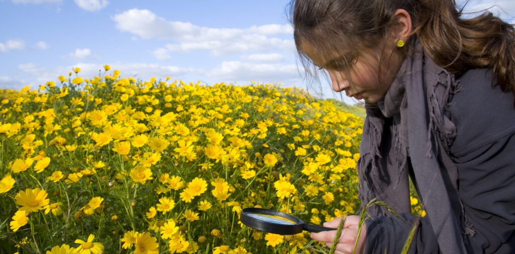 A young girl outside examining different flowers with a magnifying glass. 