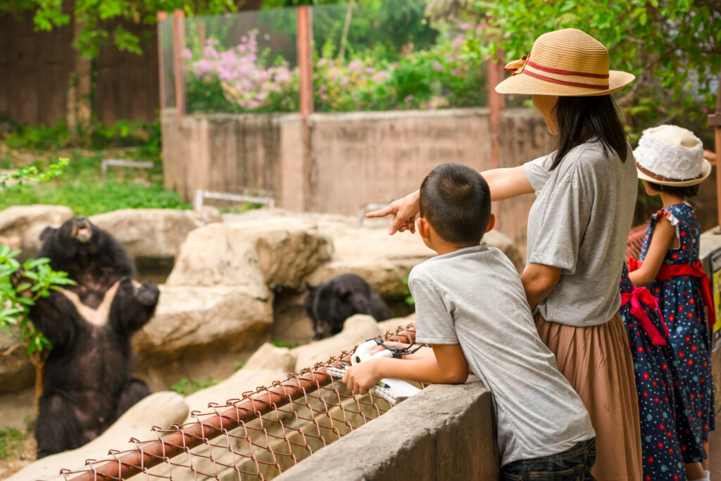 Children going on a field trip to the zoo. 